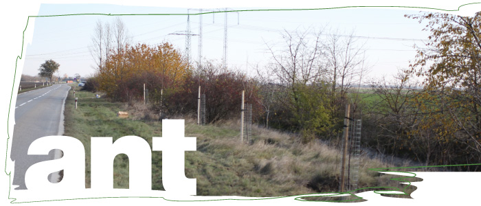 sadime pre zelenšiu budúcnosť
